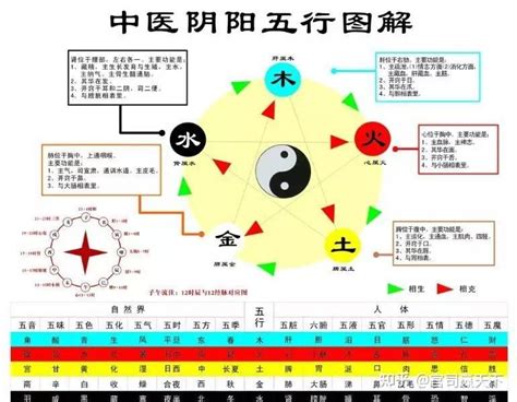 五行生活|五行生活解读